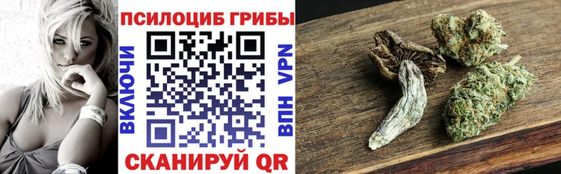 Псилоцибиновые грибы Psilocybine cubensis  наркота  Дорогобуж 